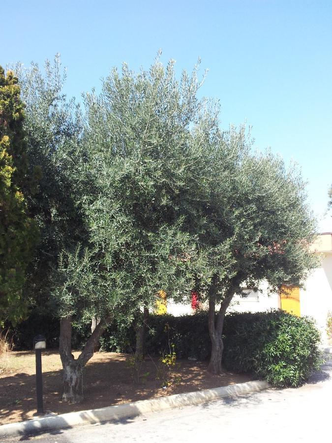 Hotel Giardino Modugno Exterior photo